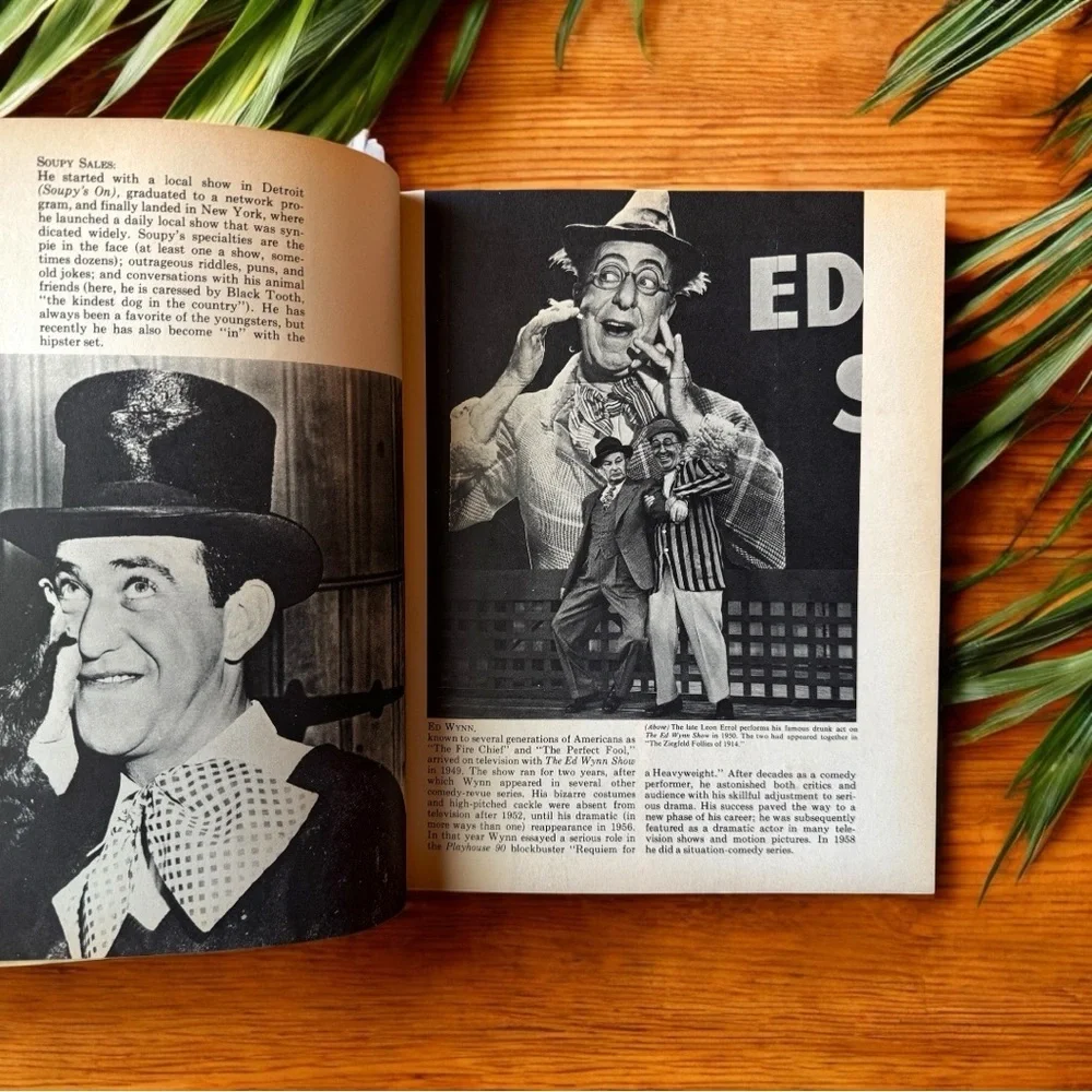 VINTAGE “How Sweet It Was” Television Pictorial Book (1971)